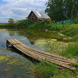 Пазл: Старый пруд