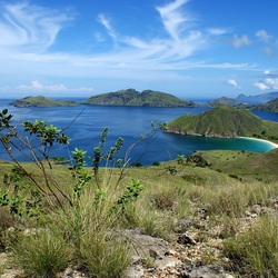 Пазл: Побережье