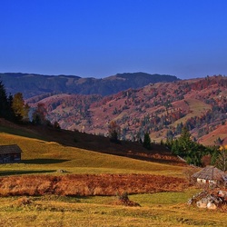 Пазл: Лето в горах