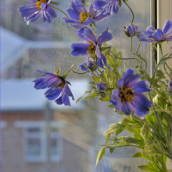 Пазл: Зима в городе 
