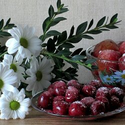 Пазл: Цветы и фрукты 