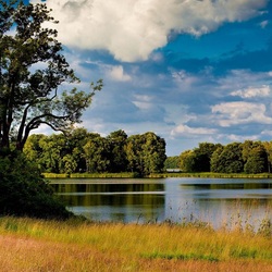 Пазл: Берега реки