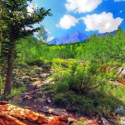 Пазл: Лесные тропинки