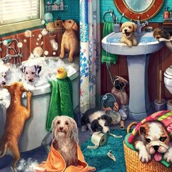 Пазл: Намылись