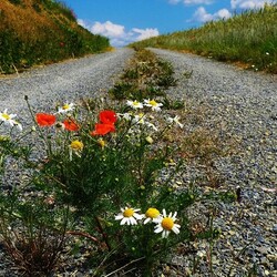 Пазл: Дорога в небо