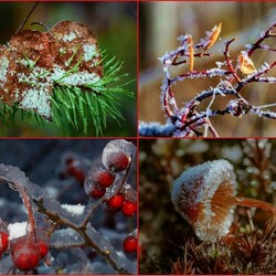 Пазл: Зима - художник