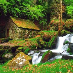 Пазл: Старая мельница