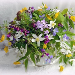 Пазл: Нежные цветы весны