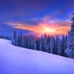 Пазл: Зимний закат