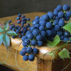 Пазл: Виноградная гроздь