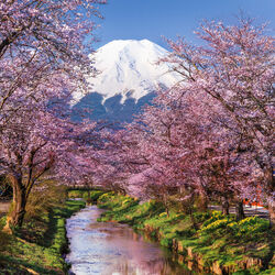 Пазл: Весна в Японии