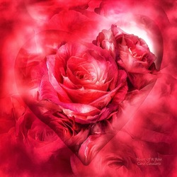 Пазл: Розы и любовь