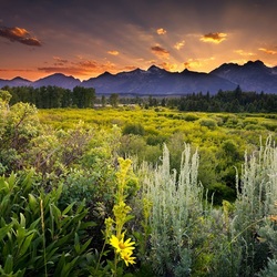 Пазл: Закат солнца