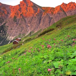 Пазл: На склоне гор