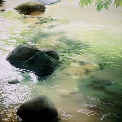 Пазл: Круги на воде