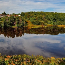 Пазл: Отдых на природе