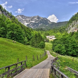 Пазл: Дорога к дому