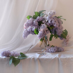 Пазл: Круженье снов и полуслов