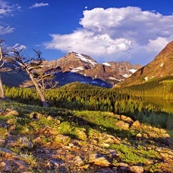 Пазл: Красоты природы