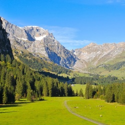 Пазл: Пастбище в долине