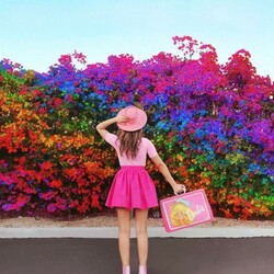 Пазл: Девочка у разноцветных кустов