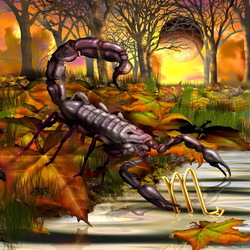 Пазл: Скорпион 