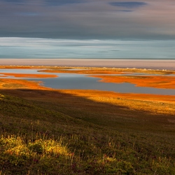 Пазл: Полуостров Таймыр