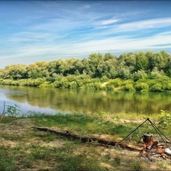 Пазл: Чай на природе