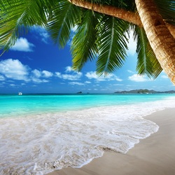 Пазл: Тропический пляж