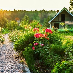 Пазл: Домик в деревне