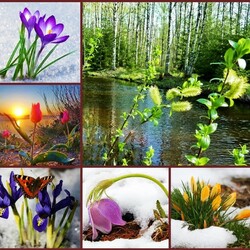 Пазл: Весна просыпается