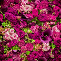 Пазл: В малиновых тонах