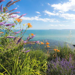 Пазл: У моря