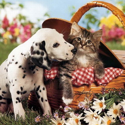 Пазл: На пикник