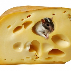 Пазл: Лакомый кусочек 