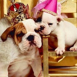 Пазл: Король и шут