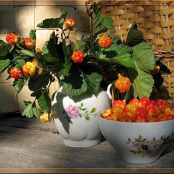 Пазл: Янтарь Заполярья