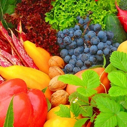 Пазл: Яркие краски осени