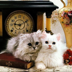 Пазл: Коты-аристократы