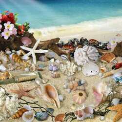 Пазл: Письмо Робинзона