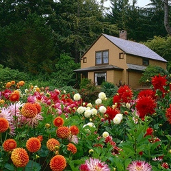 Пазл: Домик в цветах