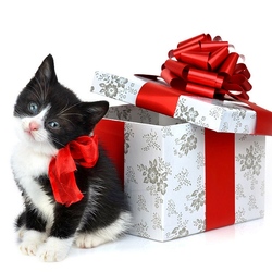 Пазл: Подарок