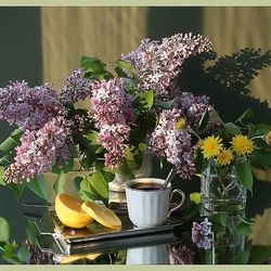 Пазл: Кофе с лимоном