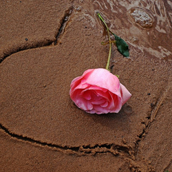 Пазл: Признание