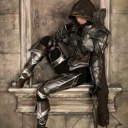 Пазл: Охотница на демонов (Diablo 3)