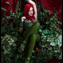 Пазл: Ядовитый плющ (DC Comics)