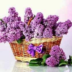 Пазл: Букет сирени