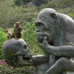 Пазл: Кто от кого произошёл