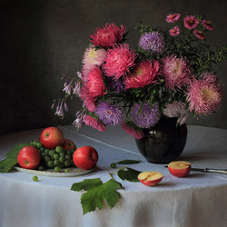 Пазл: Астры