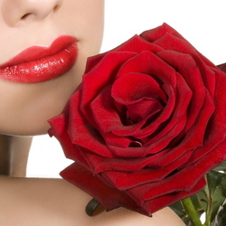 Пазл: Аромат розы